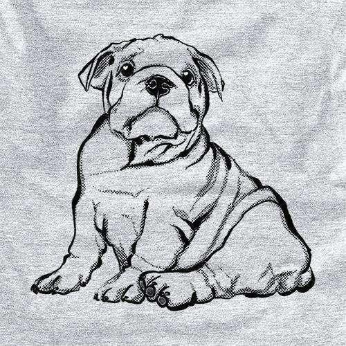 Halftone English Bulldog Puppy