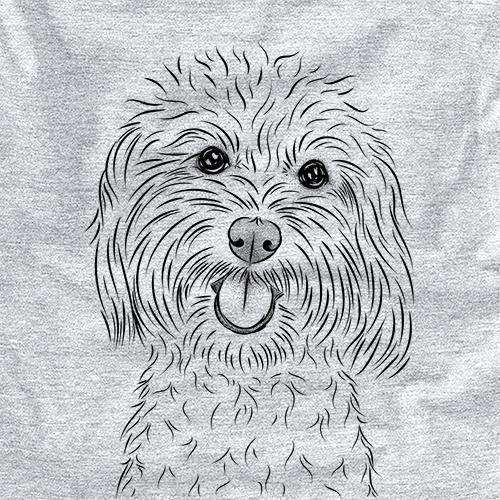 Cuddles the Coton de Tulear