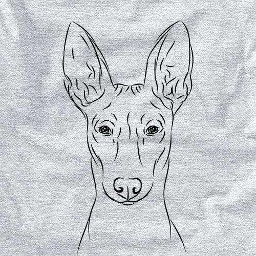 Ruadh the Pharaoh Hound