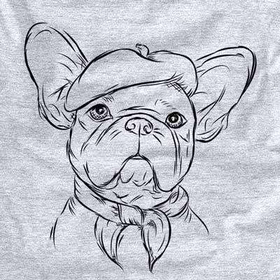 Pierre the French Bulldog