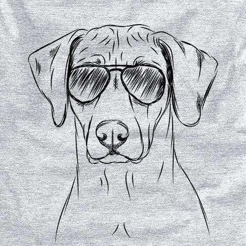 Ronan the Rhodesian Ridgeback