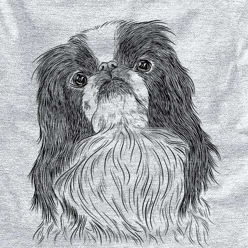 Suki the Japanese Chin