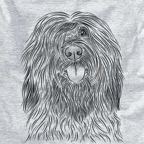 Bundy the Briard