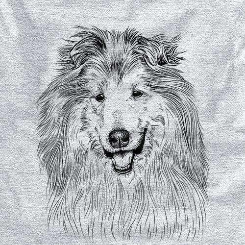 Donnan the Rough Collie