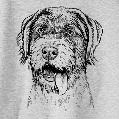 Hazel the German Wirehaired Pointer Mix