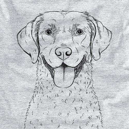 Chip the Chesapeake Bay Retriever