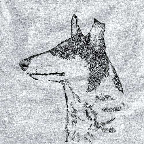 Profile Smooth Collie