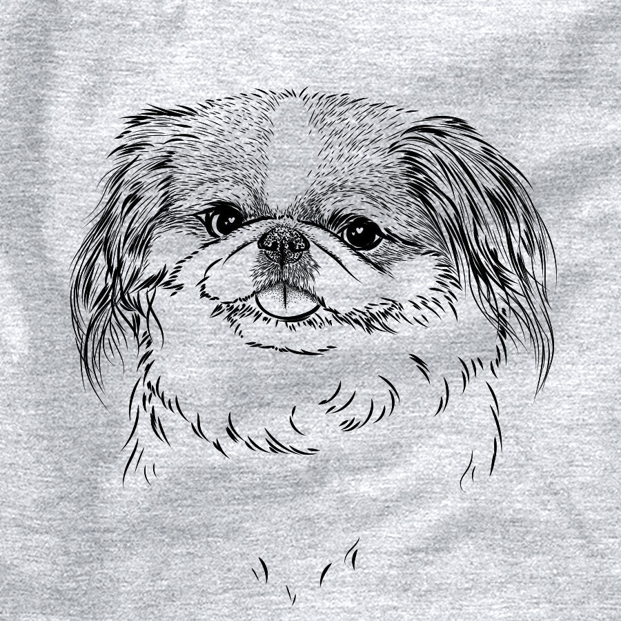 Abra Bean the Pekingese
