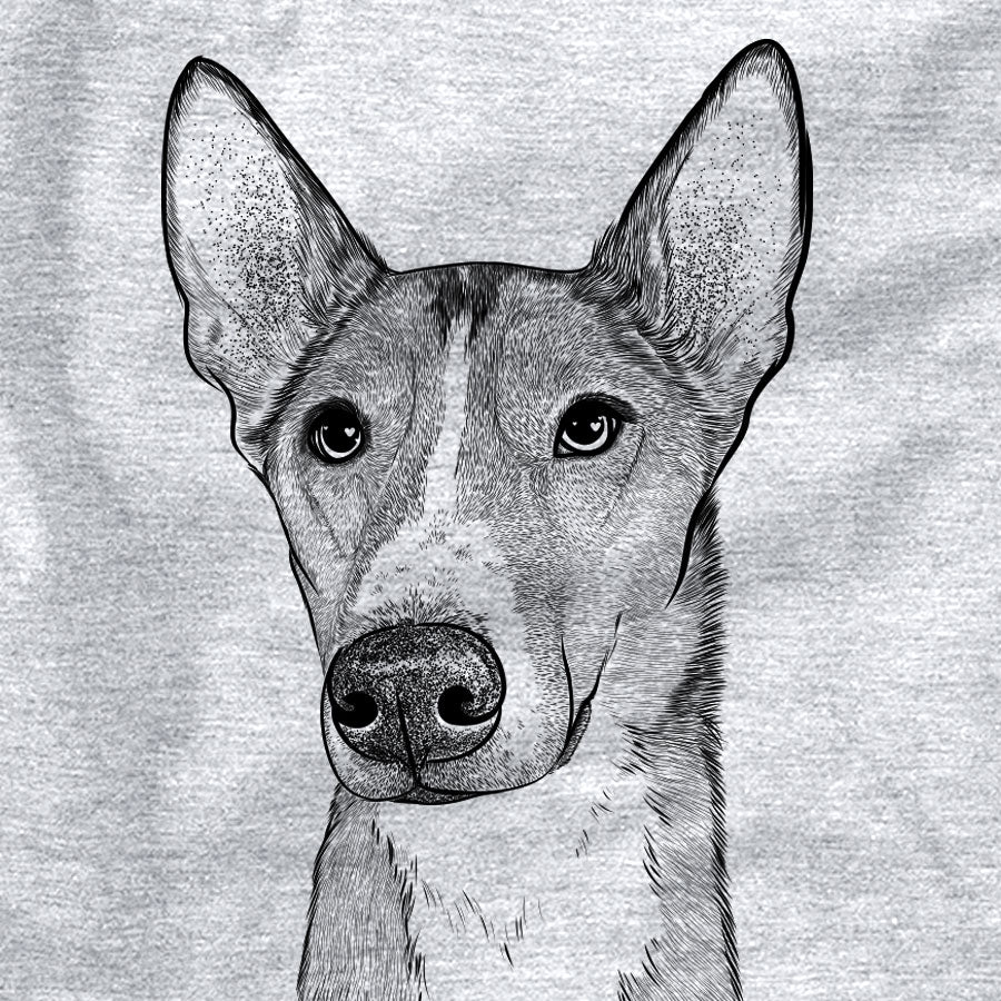 Anubis the Alaskan Husky