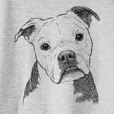 Aggy the Olde English Bulldogge