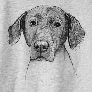 Baldwin the Mixed Breed