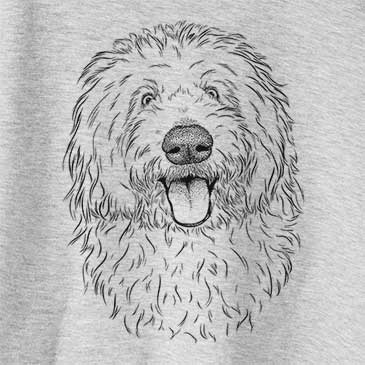 Barry the Old English Sheepdog