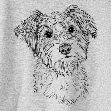 Birdee the Schnauzer Mix