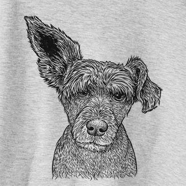 Boodles the Schnauzer Mix