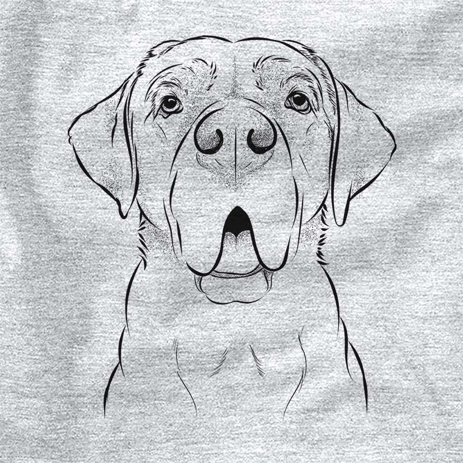 Ceasar the Labrador Hound Mix