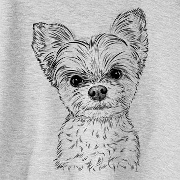 Chance the Yapper the Yorkshire Terrier