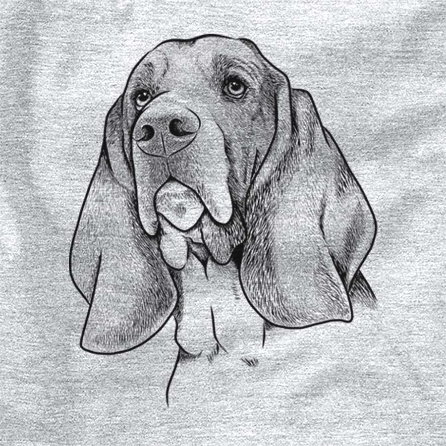 Cooper the Basset Hound