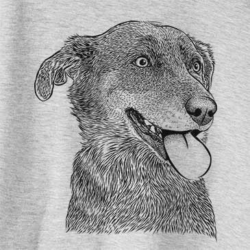 Daisy the Australian Shepherd Mix