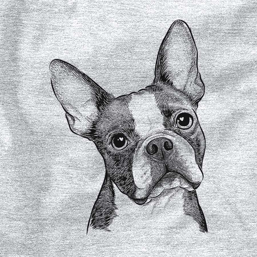 Dee Dee the Boston Terrier