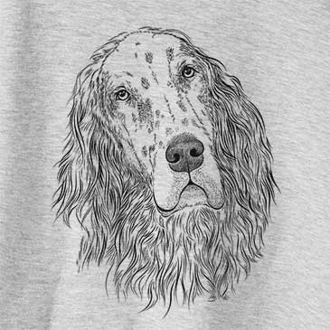 Dexter the English Setter