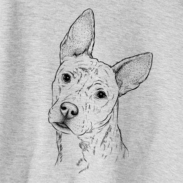 Diesel the Mixed Breed