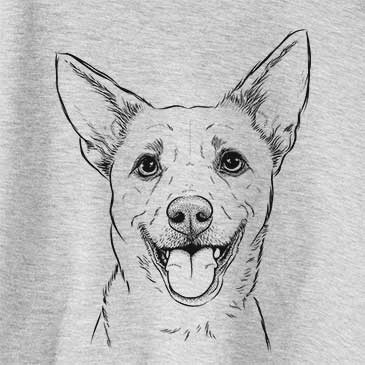 Dinghy the Mixed Breed