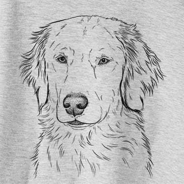 Eli the Golden Retriever