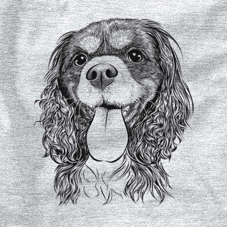 Elizabeth the Cavalier King Charles Spaniel