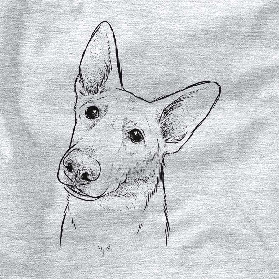 Elsa the German Shepherd