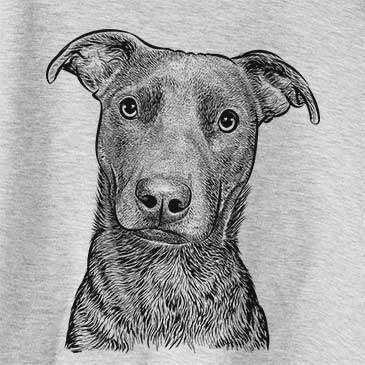 Embyr the Mixed Breed