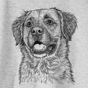 Finn the Mixed Breed