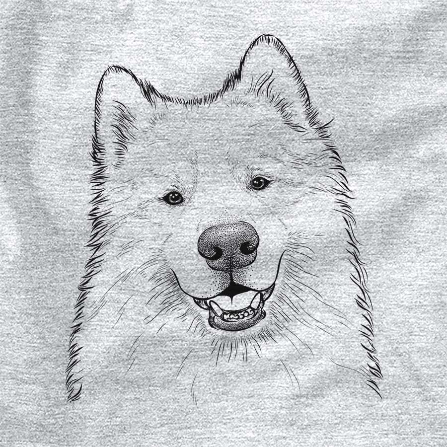 Foster the Samoyed