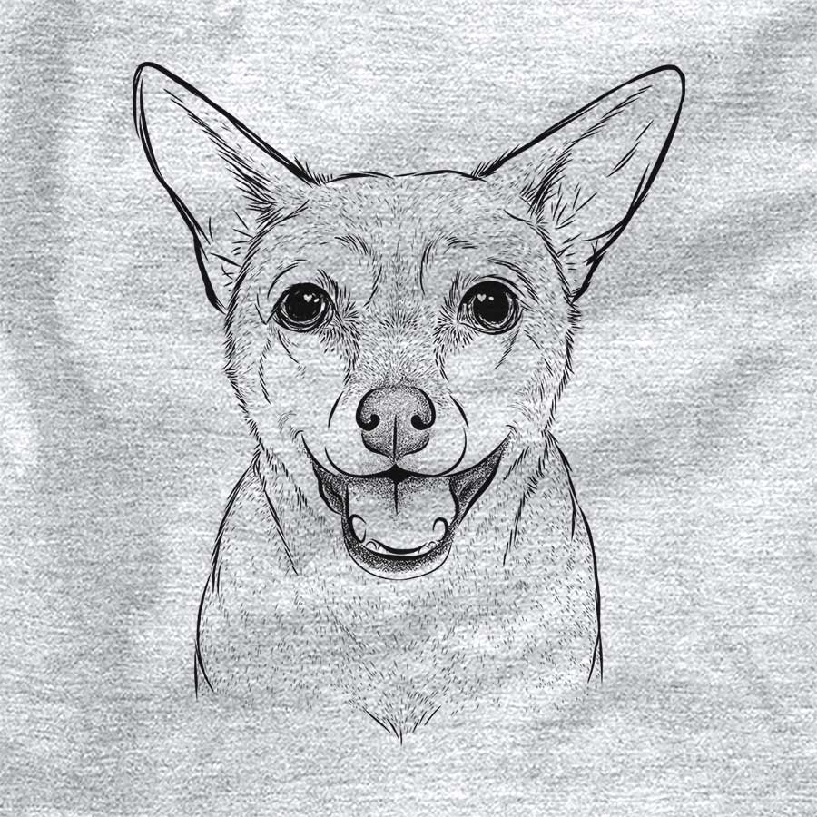 Georgie the Chiweenie