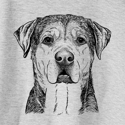 Gus the Rottweiler Mix