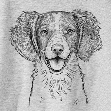 Happy Holly the Brittany Spaniel