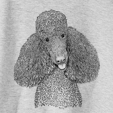 Henry the Standard Poodle