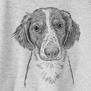 Holly the Brittany Spaniel