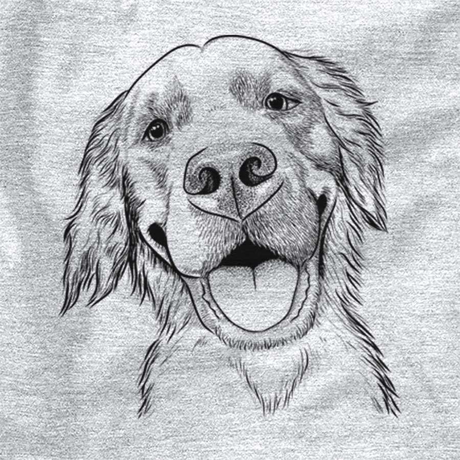 Jordy the Golden Retriever