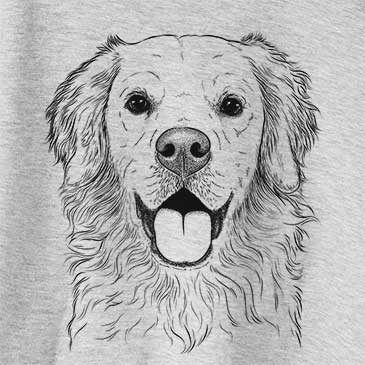 Juniper the Golden Retriever