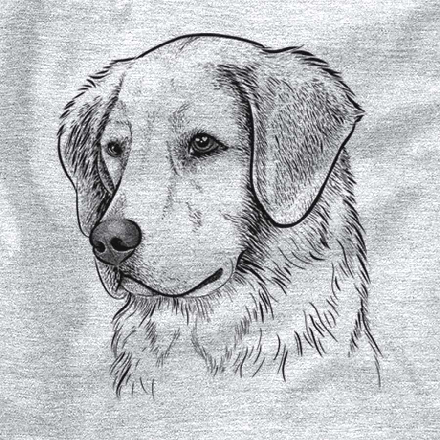 Kula the Golen Retriever