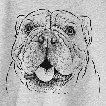 Louie the English Bulldog