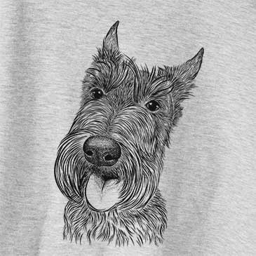 Magnus the Scottish Terrier