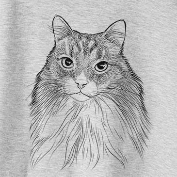 Maks the Siberian Cat