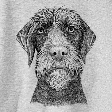 Oakley the Pudelpointer