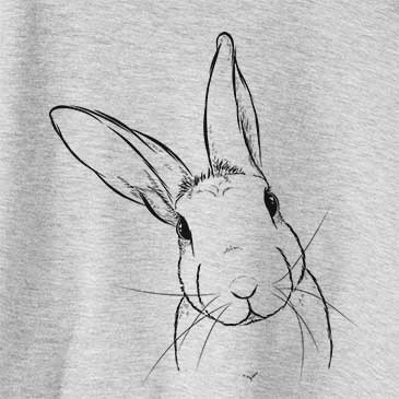 Penny the Belgian Hare