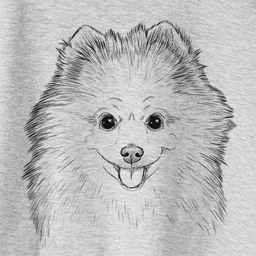 Piper Jo the Pomeranian