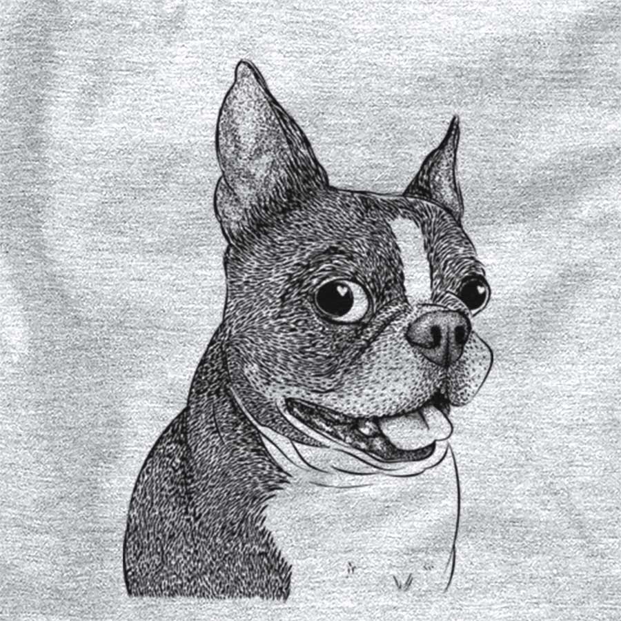 Ralphie the Boston Terrier