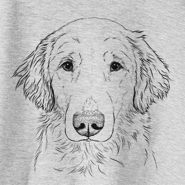 Riley the Golden Retriever