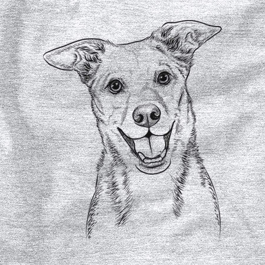 Rocco the Mixed Breed