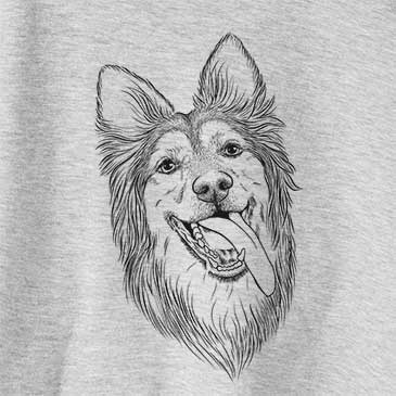 Rosalie the German Shepherd Mix